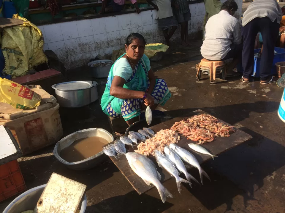 Photo of Vizag—- fish land by himanshu Koshle