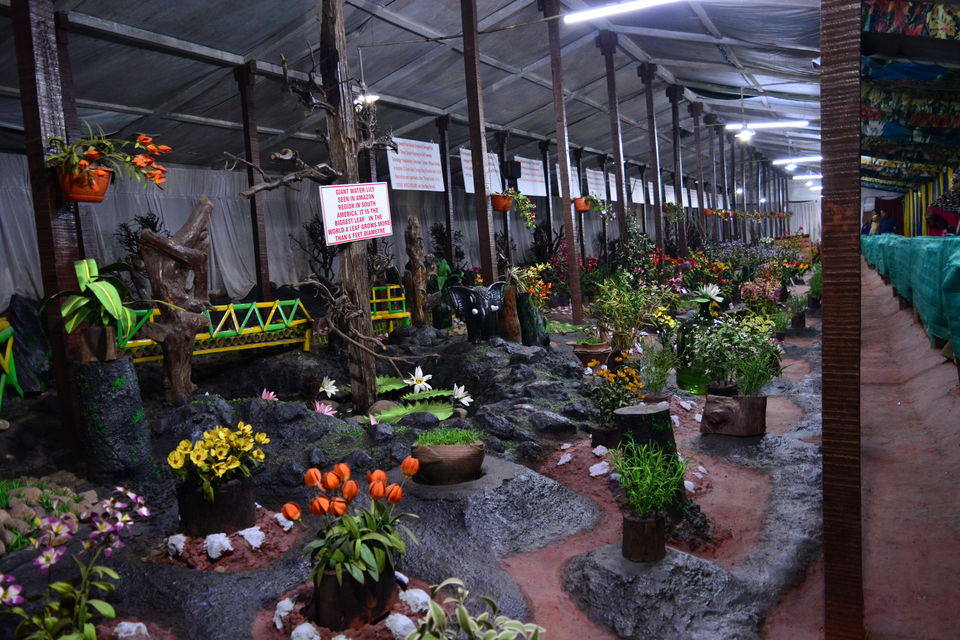 Photo of Thread Garden, Kathadimattam, Ooty, Tamil Nadu, India by Rakchhya Uprety