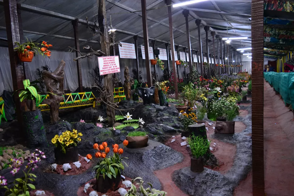 Photo of Thread Garden, Kathadimattam, Ooty, Tamil Nadu, India by Rakchhya Uprety