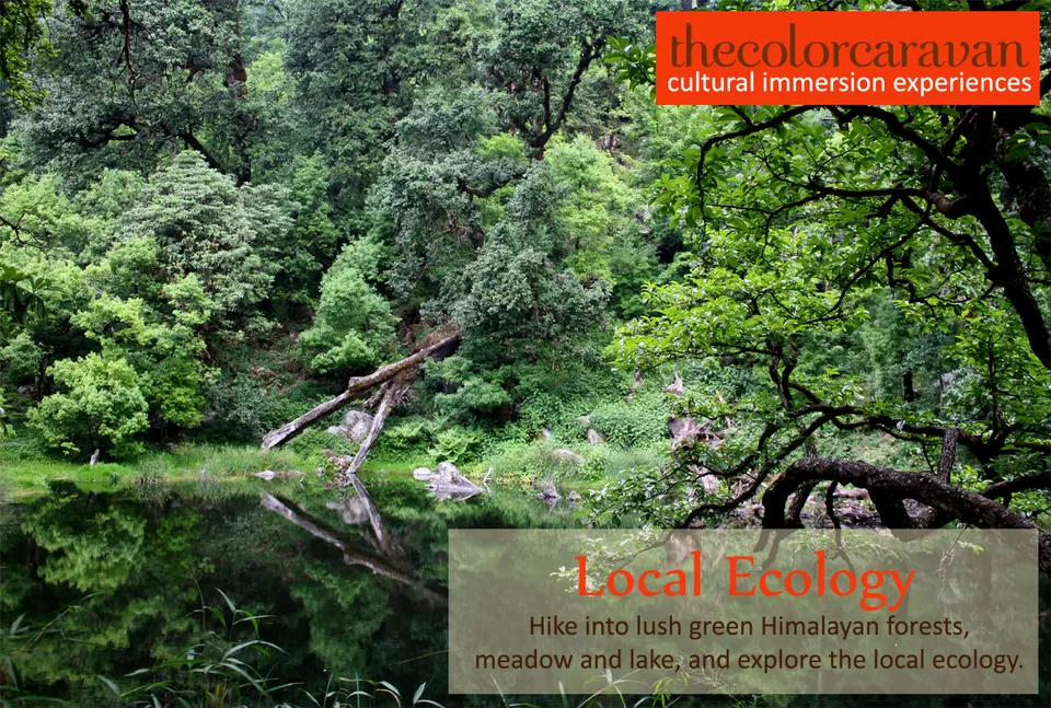 Photo of Uttarakhand, Uttarakhand, India by Swati Seth