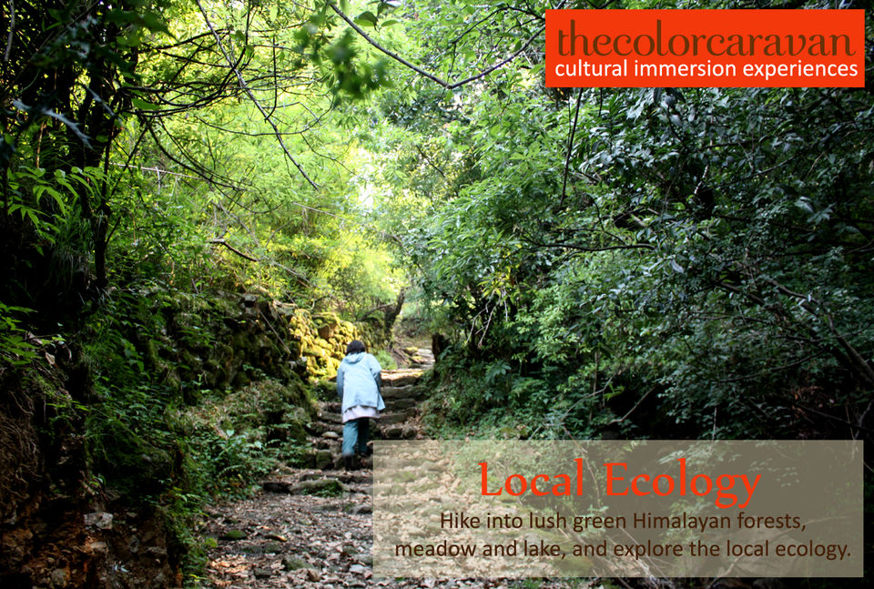 Photo of A cultural journey to a Himalayan Village 4/12 by Swati Seth