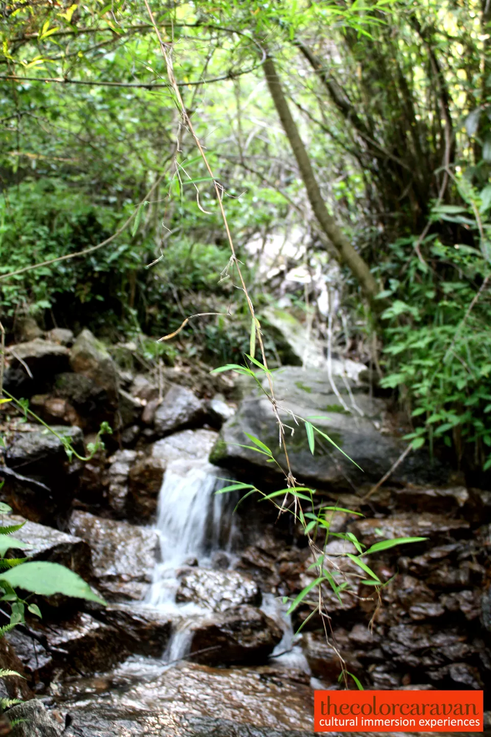Photo of Uttarakhand, Uttarakhand, India by Swati Seth