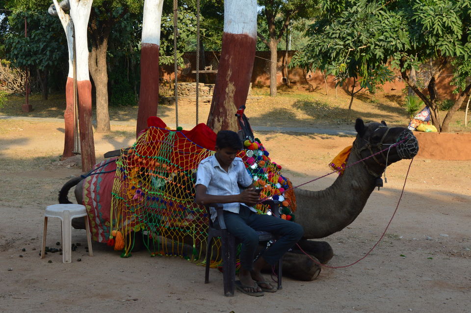 Photo of TOP 10 THINGS TO DO AT SHILPGRAM: Udaipur (Beyond Lakes and Palaces) #rajasthaninphotos by The Window Seat