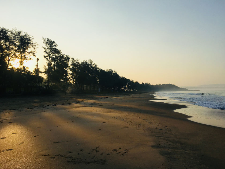 Photo of Talpona Beach, Goa by Arun Vijay M