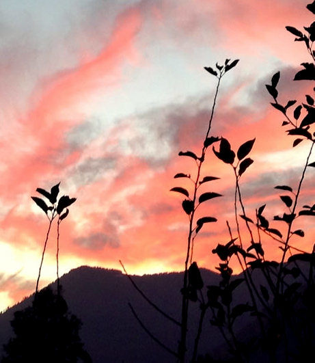 Photo of Sunset on the way to Shrikhand Mahadev, Himachal Pradesh,India 2/3 by janki sata