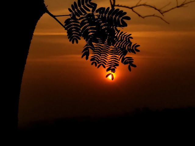 Photo of Sunset at Durga Tekdi, Pune 1/5 by janki sata