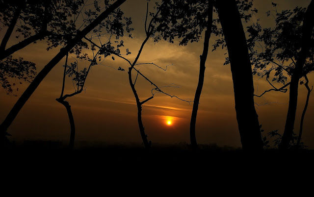 Photo of Sunset at Durga Tekdi, Pune 2/5 by janki sata