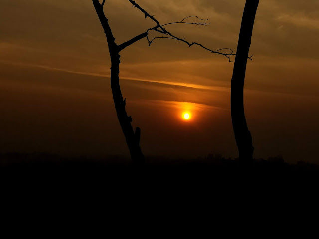 Photo of Sunset at Durga Tekdi, Pune 3/5 by janki sata