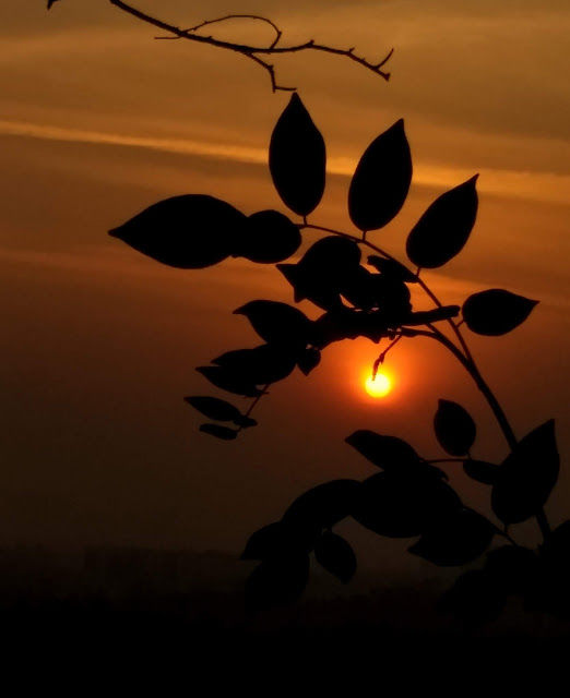 Photo of Sunset at Durga Tekdi, Pune 4/5 by janki sata
