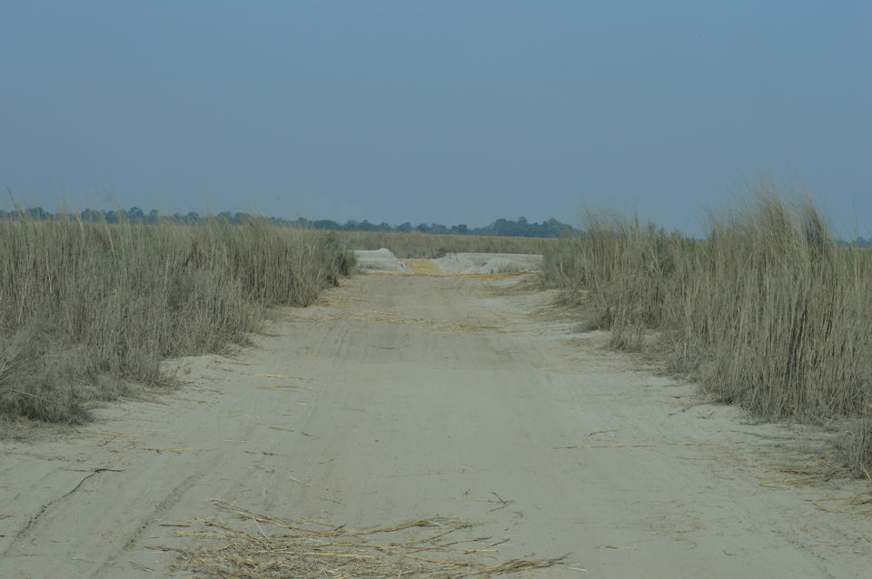 Photo of Majuli, Assam, India by Amruta Akulkar