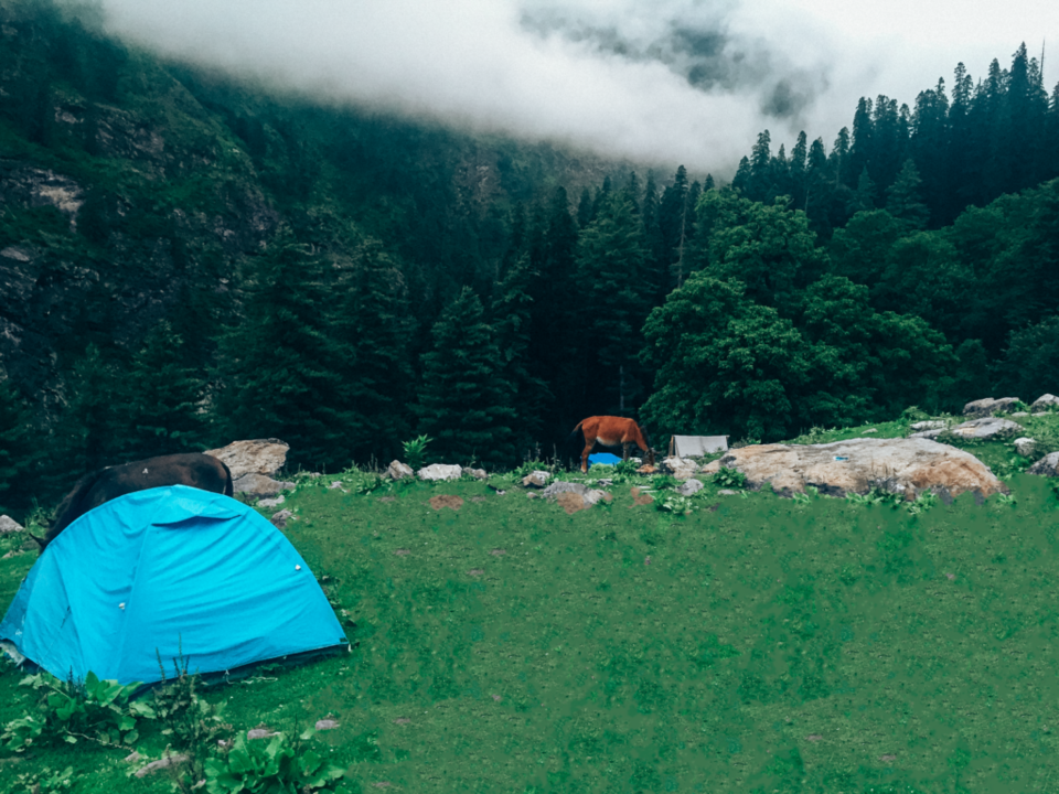 Photo of Kasol-Kheerganga Trek: The Road Less Taken by Nikita Butalia