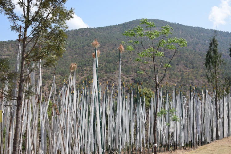 Photo of Nerd's Eye View : Punakha, Bhutan 6/8 by Nakul Dashora