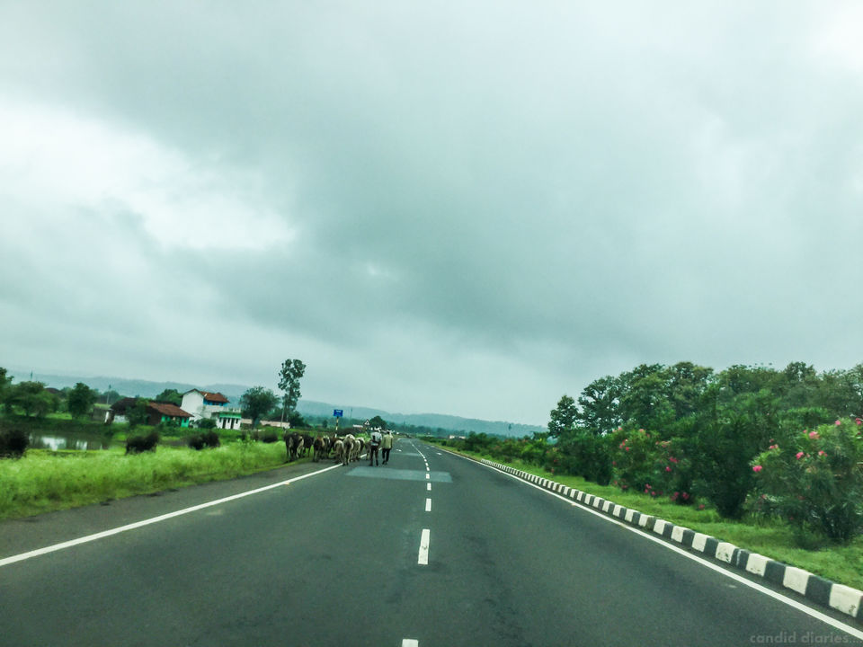 Photo of 3 Women: Mission Kanyakumari To Kashmir By Car 30/35 by Sunita Dugar