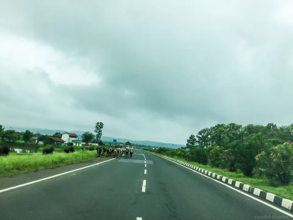 Photo of Karnataka, India by Sunita Dugar