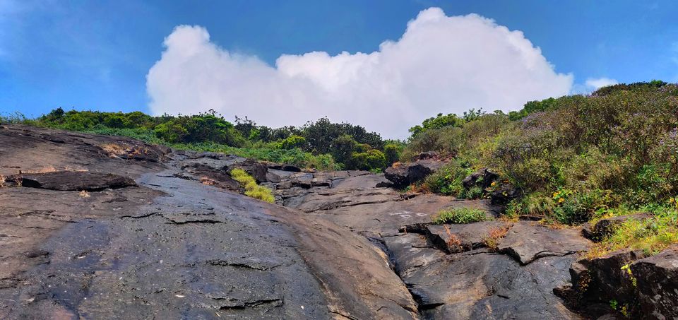 Photo of Kumara Parvatha (Pushpagiri Peak) Trek by Akhil Vijayakumar