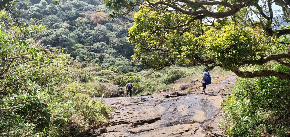 Photo of Pushpagiri, Kumaralli, Karnataka by Akhil Vijayakumar