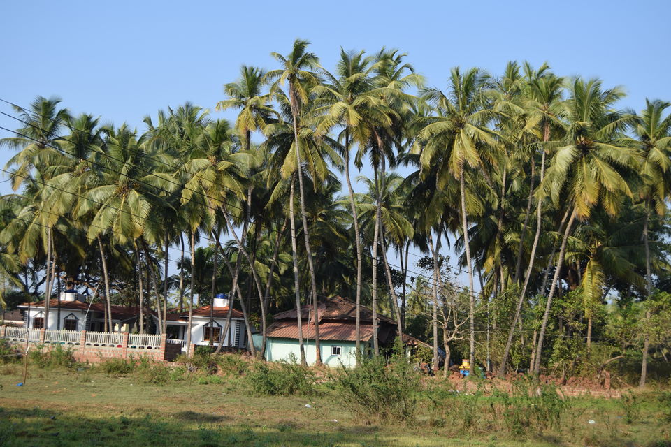 Photo of Goa is always a good idea !!! by Kushagra Sharma