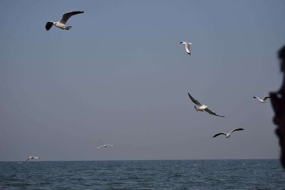 Photo of Goa is always a good idea !!! by Kushagra Sharma