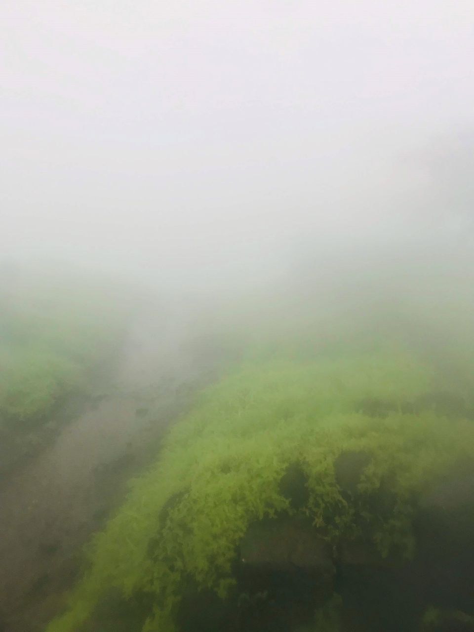 Photo of Rajmachi Fort, Pune, Maharashtra, India by Asif Rashid