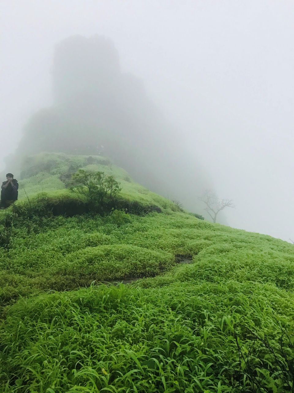 Photo of Rajmachi Fort, Pune, Maharashtra, India by Asif Rashid