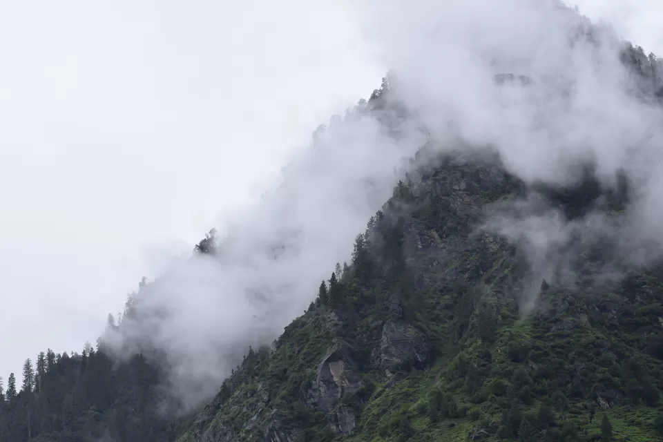 Photo of The Evergreen Cafe, Manikaran Road, Near Forest Rest House, Kasol, Himachal Pradesh, India by Mohammad Umar