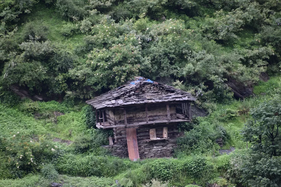 Photo of The Evergreen Cafe, Manikaran Road, Near Forest Rest House, Kasol, Himachal Pradesh, India by Mohammad Umar