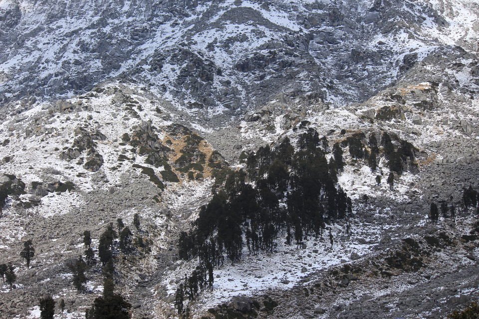 Photo of Laka Glacier, Illaqa, Himachal Pradesh, India by gaurav sharma