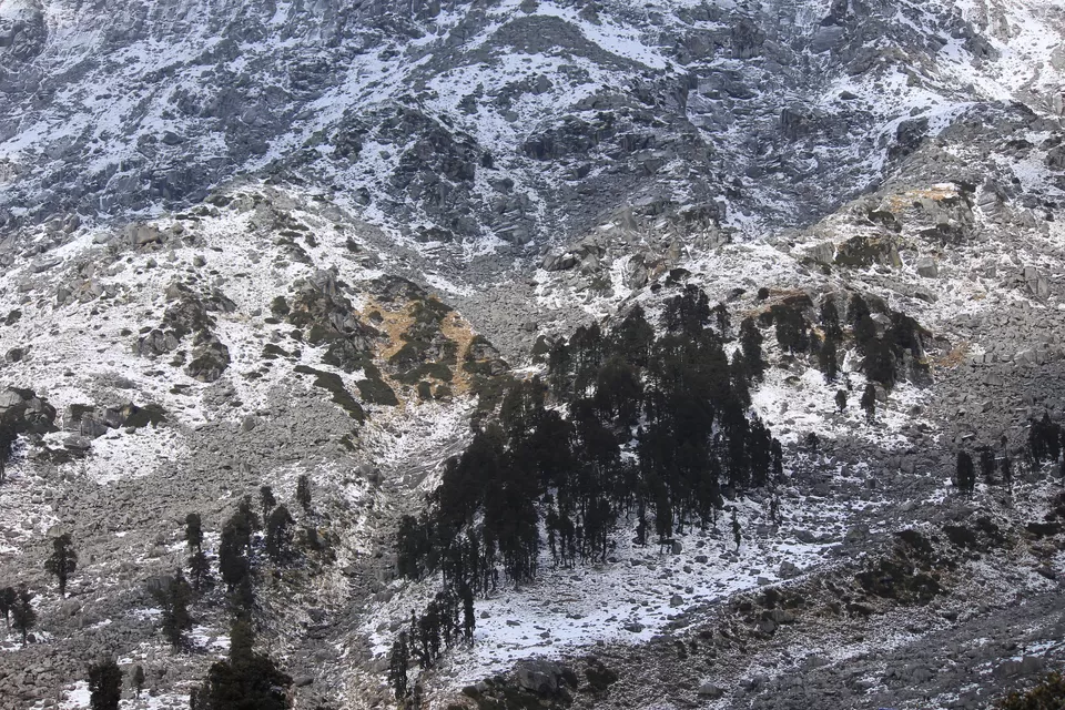 Photo of Laka Glacier, Illaqa, Himachal Pradesh, India by gaurav sharma