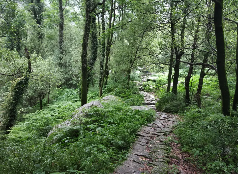 Photo of Kareri, Himachal Pradesh, India by gaurav sharma