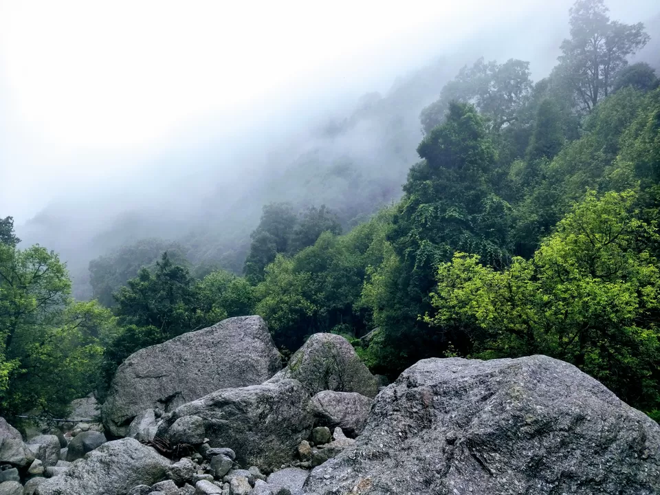 Photo of Kareri, Himachal Pradesh, India by gaurav sharma