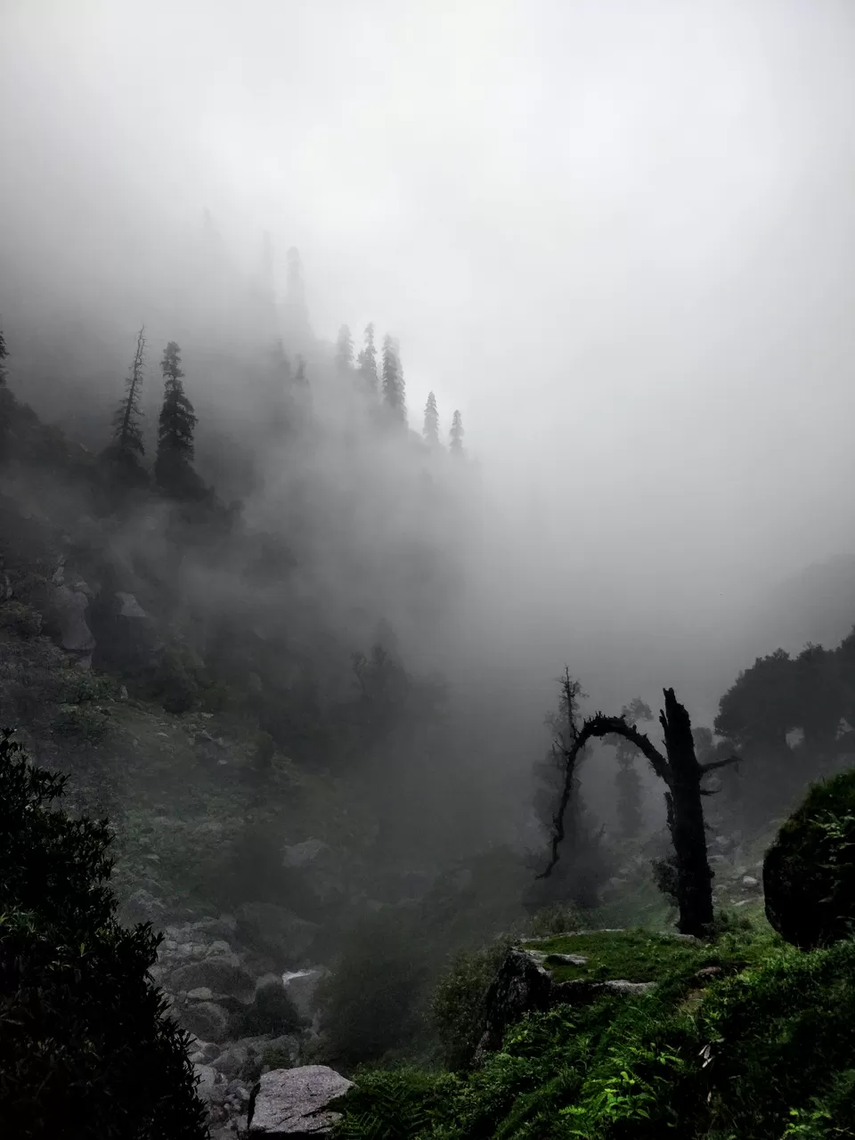 Photo of Kareri, Himachal Pradesh, India by gaurav sharma
