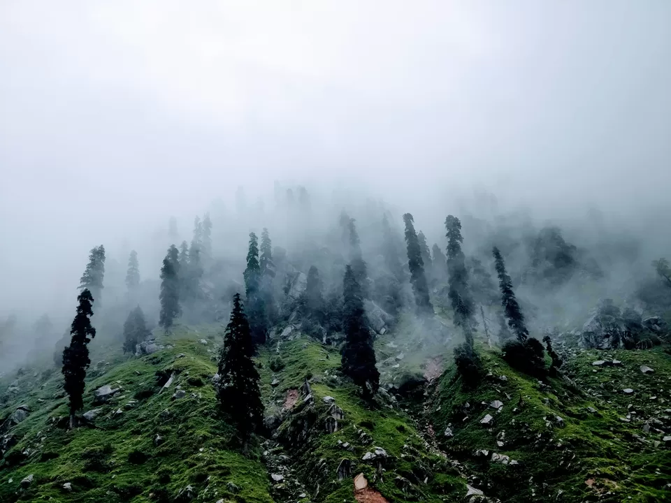 Photo of Kareri, Himachal Pradesh, India by gaurav sharma