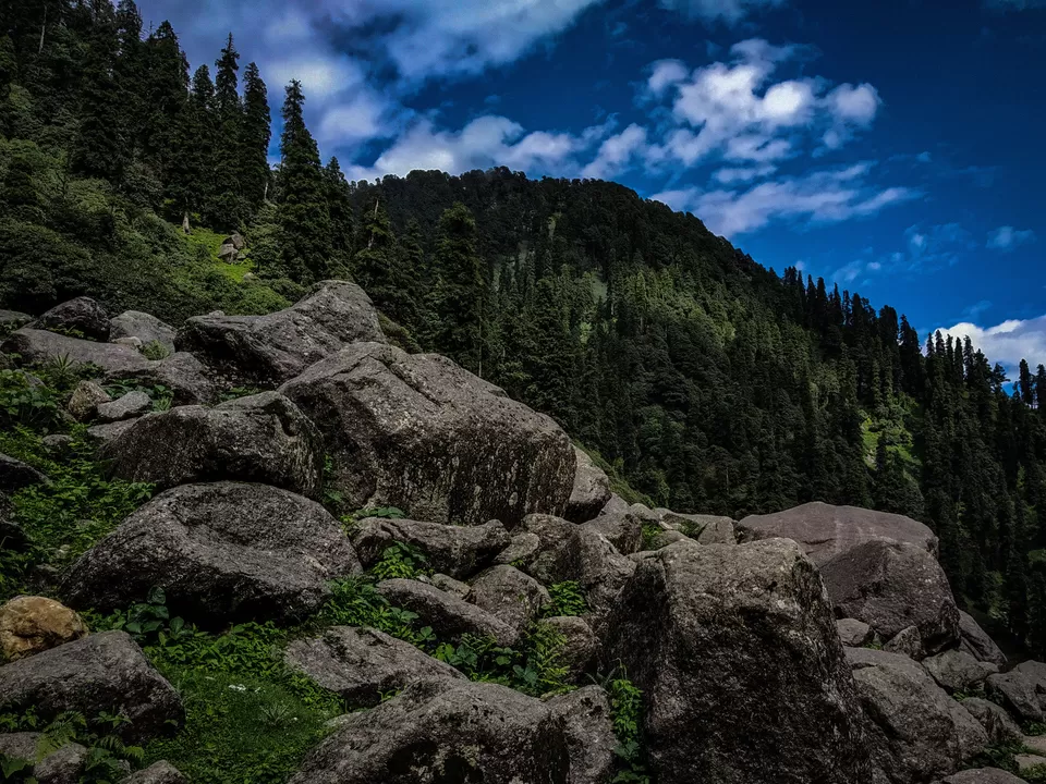 Photo of Kareri, Himachal Pradesh, India by gaurav sharma