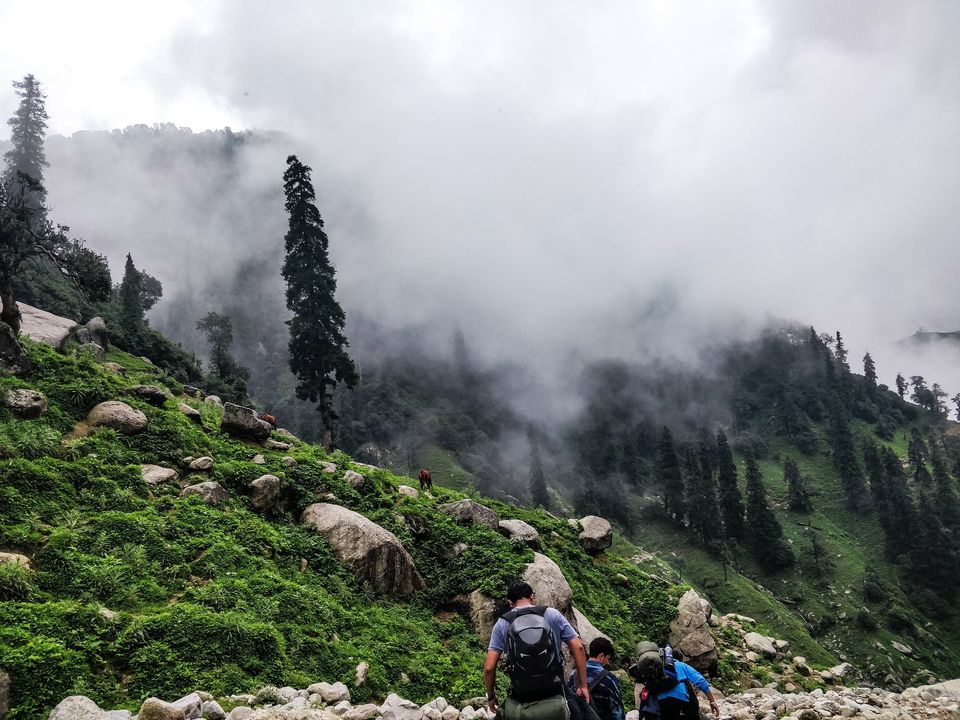 Photo of Kareri, Himachal Pradesh, India by gaurav sharma