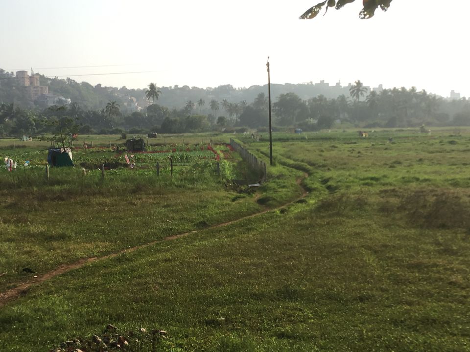 Photo of Traveling solo to Goa It's not a bad idea! 6/40 by Lokesh J. Aryan