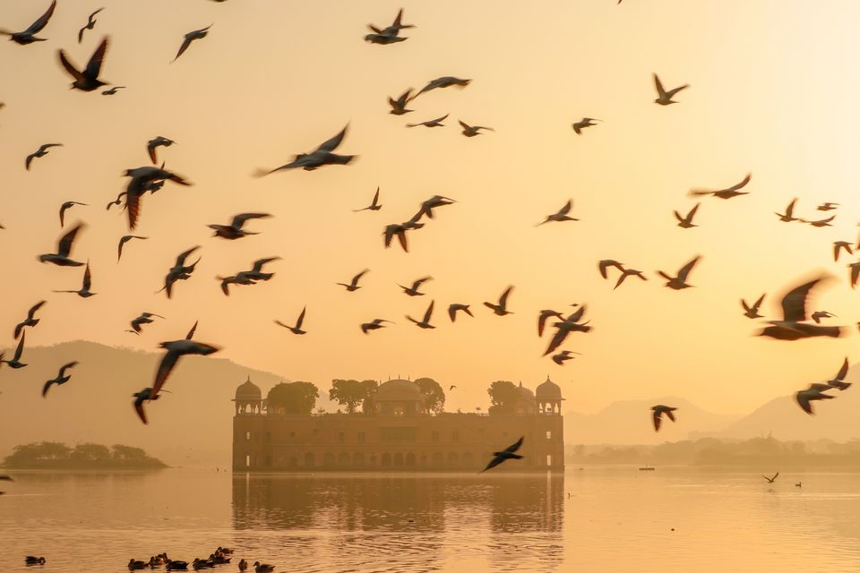 Photo of Jaipur, Rajasthan, India by The Outcast Tripper