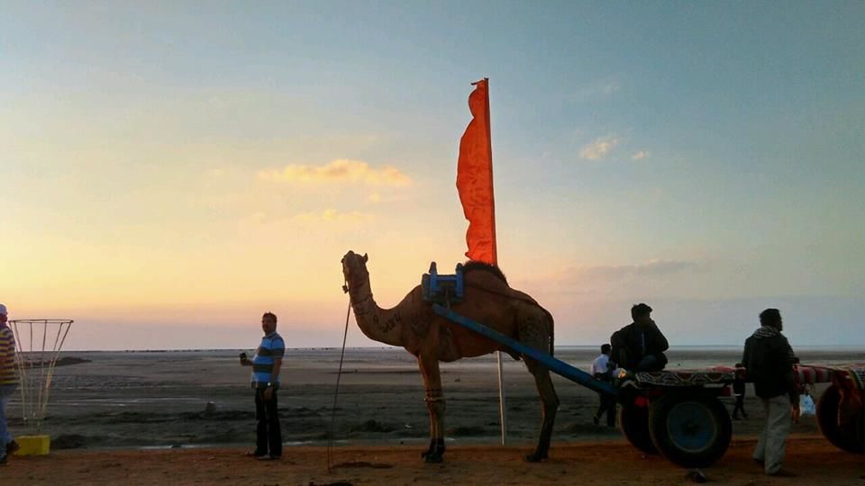Photo of The White Rann of Kutch: A Canvas That Will Turn You Into An Artist! 1/7 by Prerna Pratham Singh