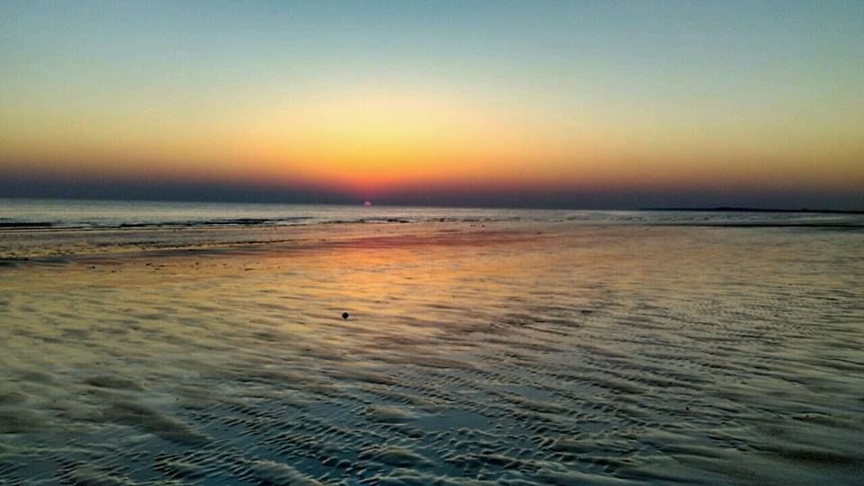 Photo of The White Rann of Kutch: A Canvas That Will Turn You Into An Artist! 6/7 by Prerna Pratham Singh