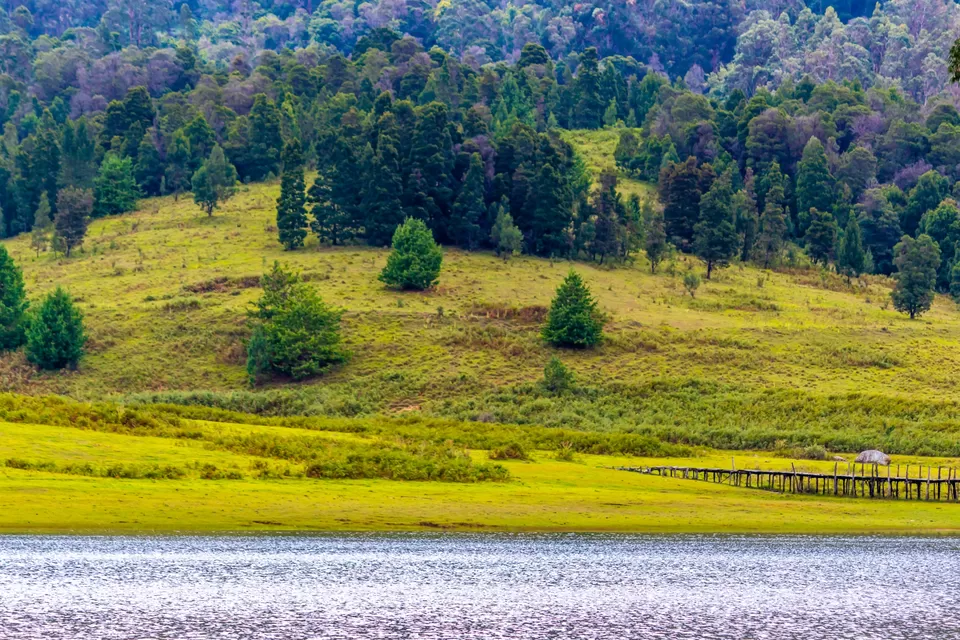 Photo of Kodaikanal, Tamil Nadu, India by Yogesh Rajput