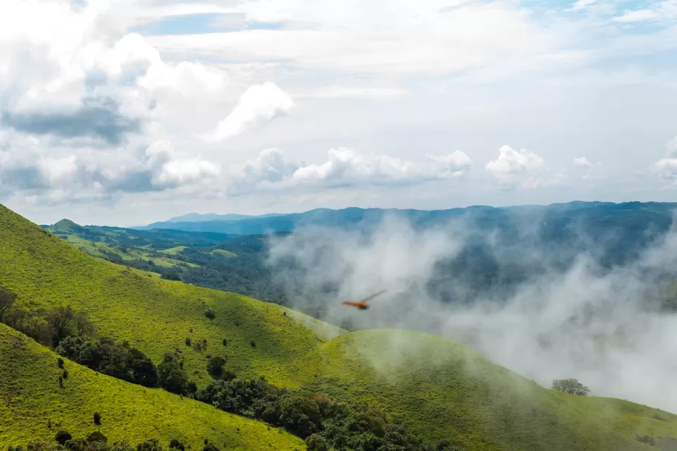 Photo of It takes time for visiting places in Coorg..So plan it accordingly by Yogesh Rajput