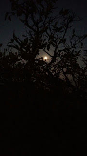 Photo of Sinhagad Fort, Sinhagad Ghat Road, Thoptewadi, Maharashtra, India by Kirthiv Anand