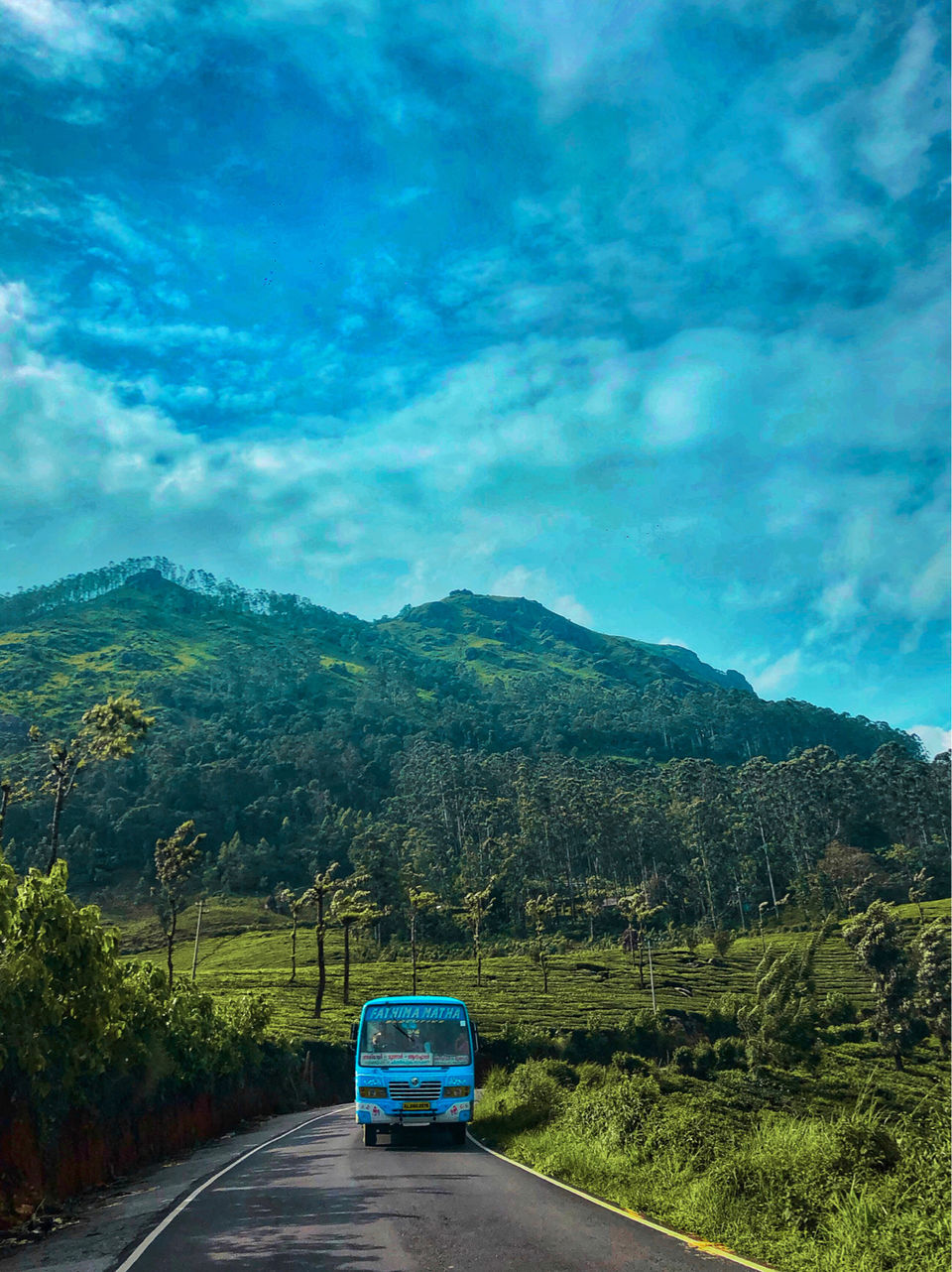 Photo of Tea Gardens, Munnar, Kerala, India by Travel_To_Tan