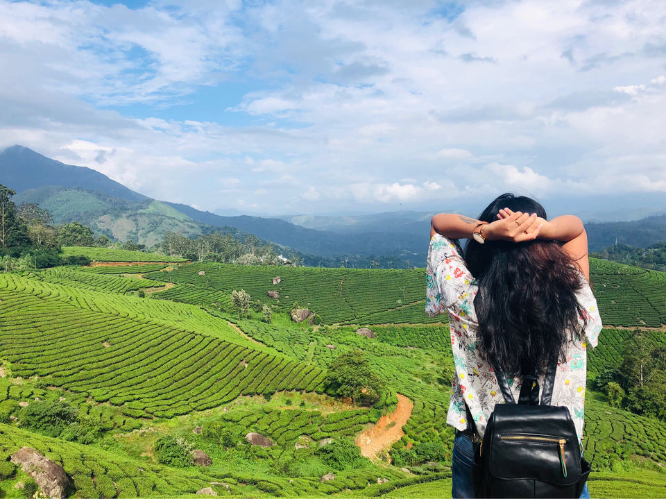 Photo of Tea Gardens, Munnar, Kerala, India by Travel_To_Tan