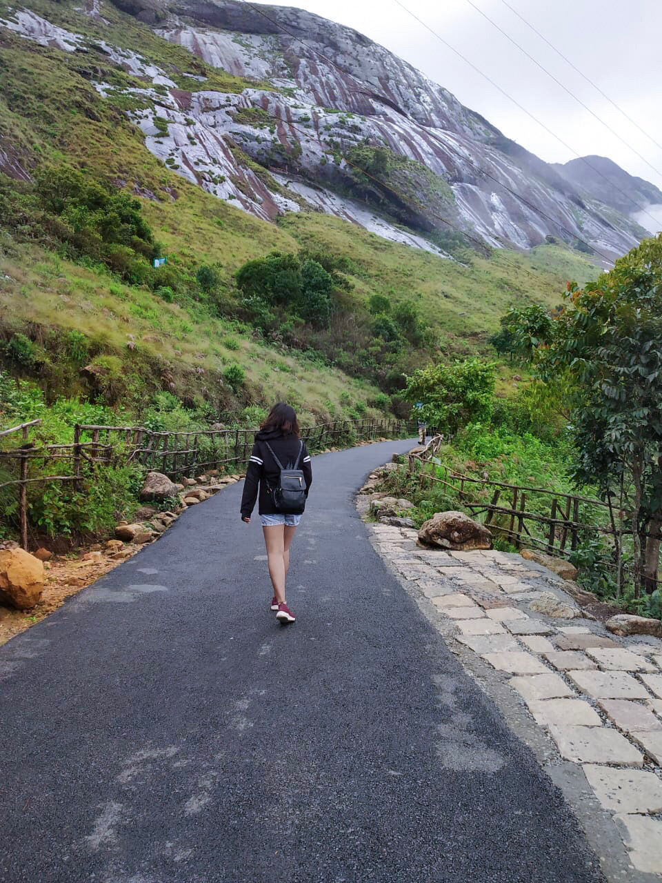 Photo of Eravikulam National Park, Kerala, India by Travel_To_Tan