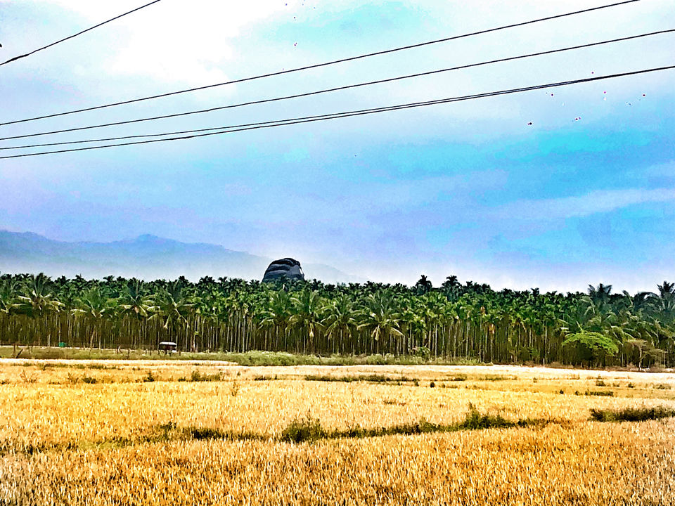 Photo of Isha Foundation, Isha Yoga Center Road, Coimbatore, Tamil Nadu, India by Travel_To_Tan