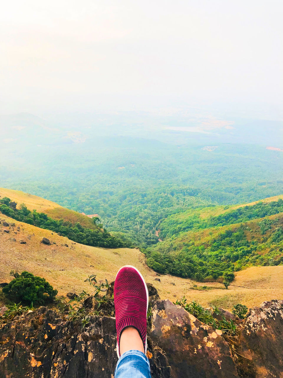 Photo of Mullayanagiri, Chikmagalur, Karnataka, India by Travel_To_Tan