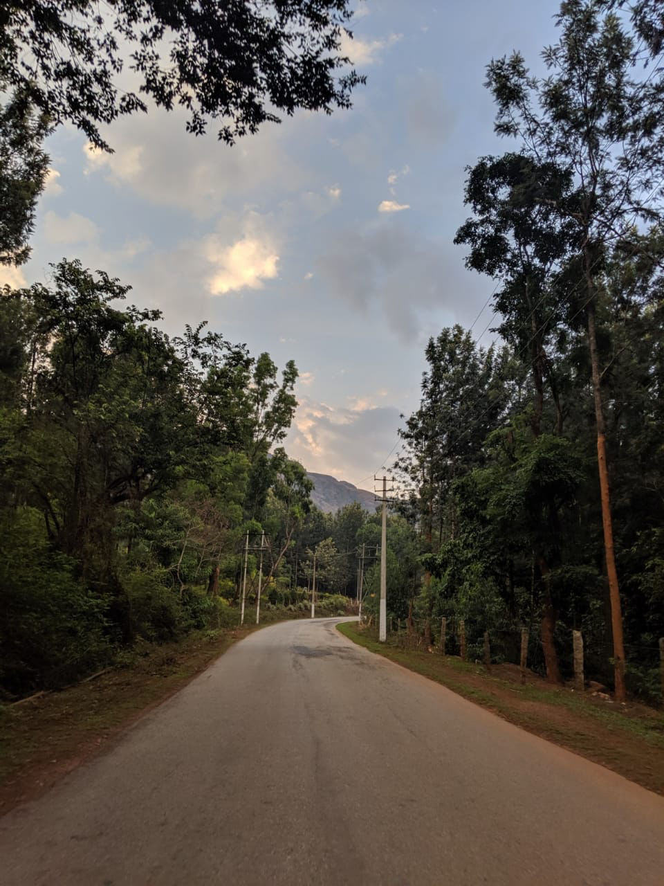 Photo of Mullayanagiri, Chikmagalur, Karnataka, India by Travel_To_Tan