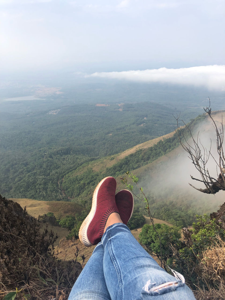Photo of Mullayanagiri, Chikmagalur, Karnataka, India by Travel_To_Tan