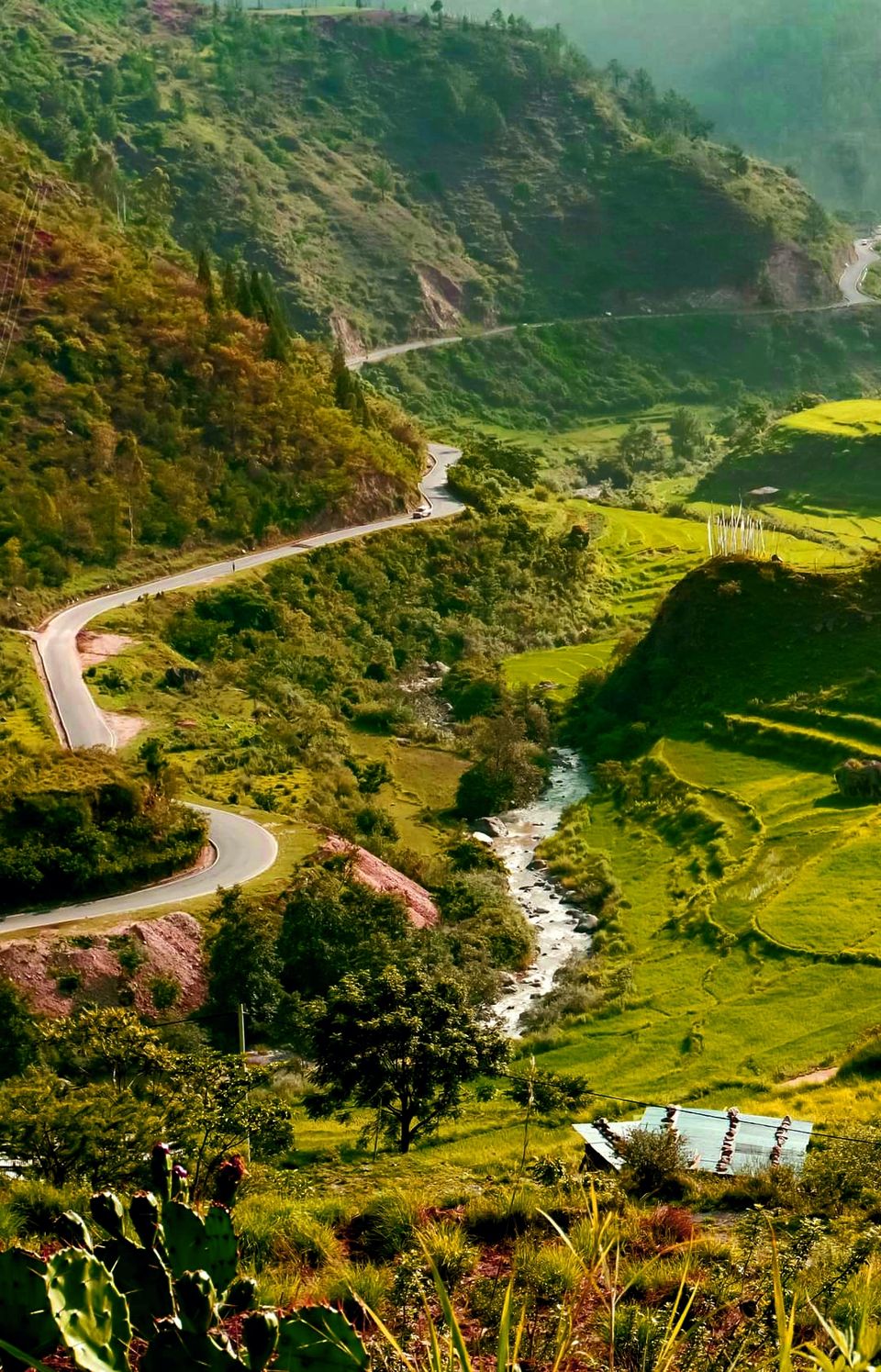 Photo of Why Meghalaya is a Nature lover's paradise | Top 8 places to visit! 1/1 by Travel_To_Tan