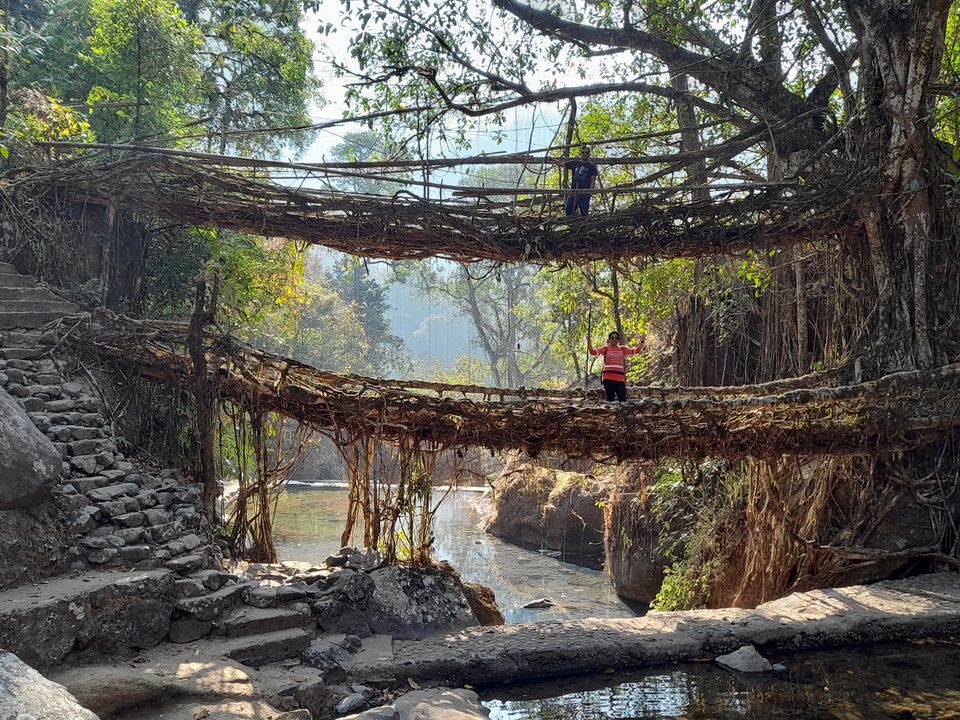 Photo of Double Decker Living Root Bridge, Cherrapunji, Meghalaya, India by Travel_To_Tan